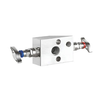 2 Valve Manifold